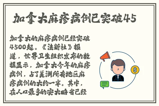 在线a视频网站